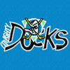Anaheim mighty duck logo 3