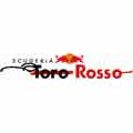 Toro Rosso logo machine embroidery design
