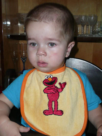 Embroidered Baby Gifts on Perfect Gift For Baby Personalized Embroidered Baby Bib With Sesame