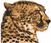 cheetah free embroidery design for download