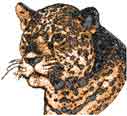 free photo stitch jaguar embroidery design