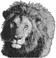 lion free machine embroidery design