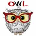Funny Owl 9 embroidery design