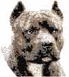 American Staffordshire Terrier embroidery design