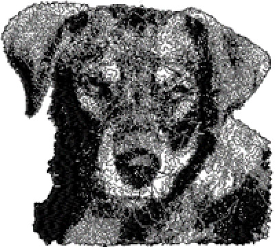Dachshund free dog embroidery design 