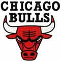 Chicago Bulls logo embroidery design
