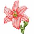 Small red lily machine embroidery design