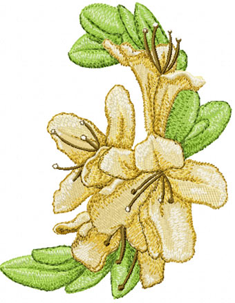Orienal flower free machine embroidery design