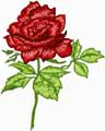 free rose embroidery design