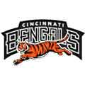 Cincinnati Bengals Logo Free machine embroidery design 
