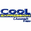 cool expression logo free machine embroidery design