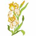 Orchids free embroidery design
