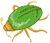Green Bug free machine embroidery design