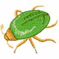 Green Bug free embroidery design