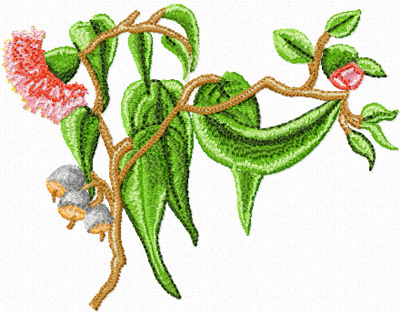 gumnut flower may gibbs design