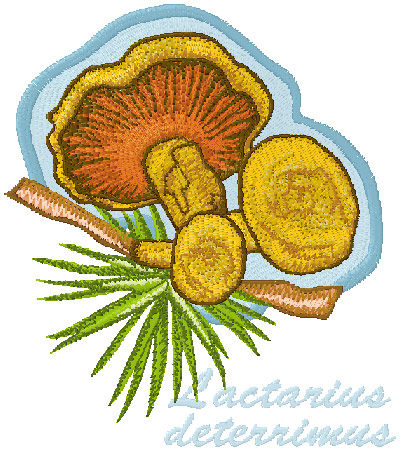 Lactarius Deterrimus machine embroidery design 