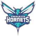 Charlotte Hornets alternative logo 2 embroidery design