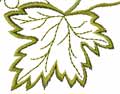 maple-leaf free machine embroidery design