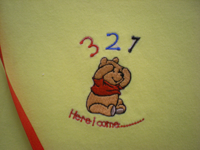 winnie pooh embroidery with digits